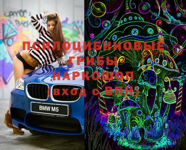 МДПВ Верхний Тагил