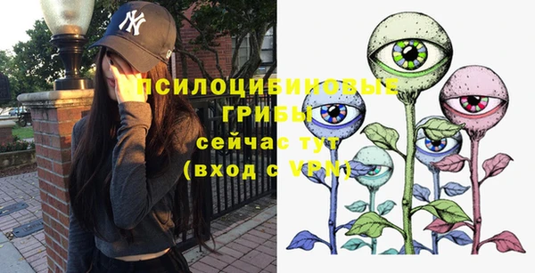 прущие грибы Нефтекумск