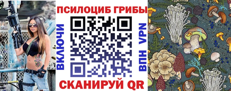 дарнет шоп  Новоалтайск  blacksprut сайт  Псилоцибиновые грибы Psilocybe 