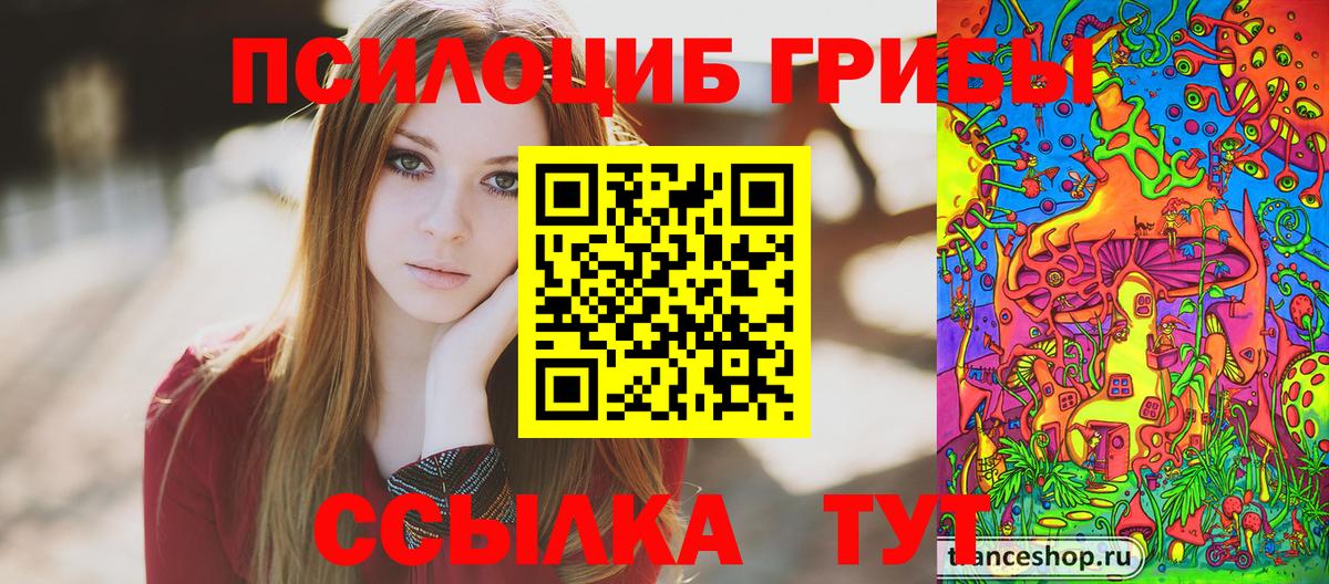 Галлюциногенные грибы Cubensis  Новоалтайск 