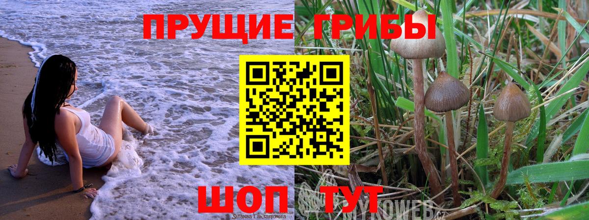 Галлюциногенные грибы мицелий  хочу   Новоалтайск  Вход с VPN 