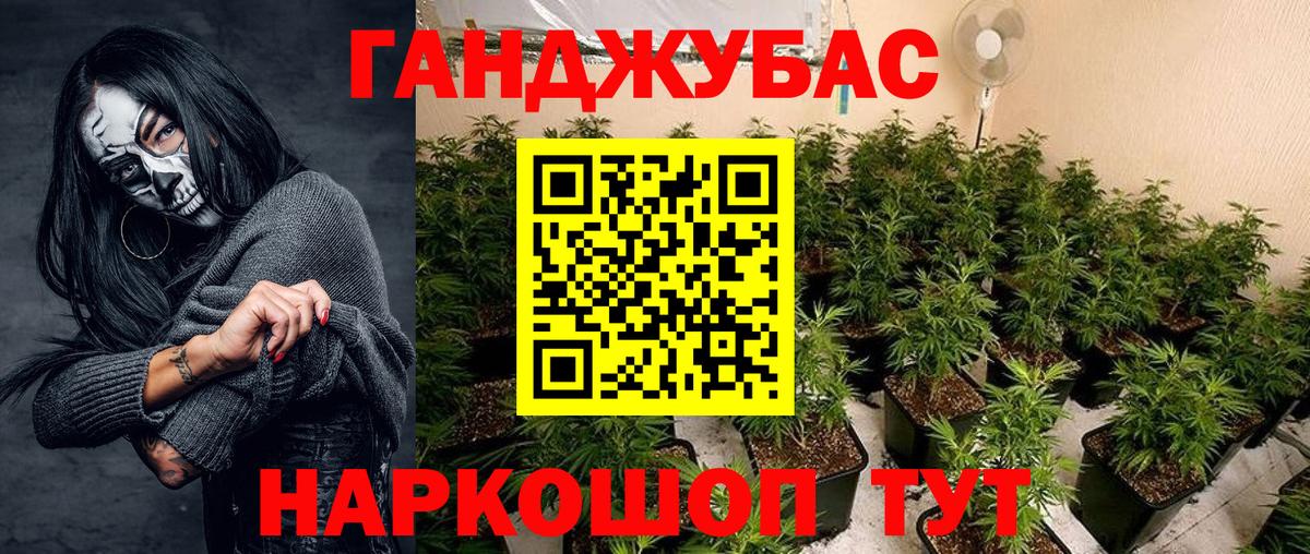 Шишки марихуана конопля Новоалтайск